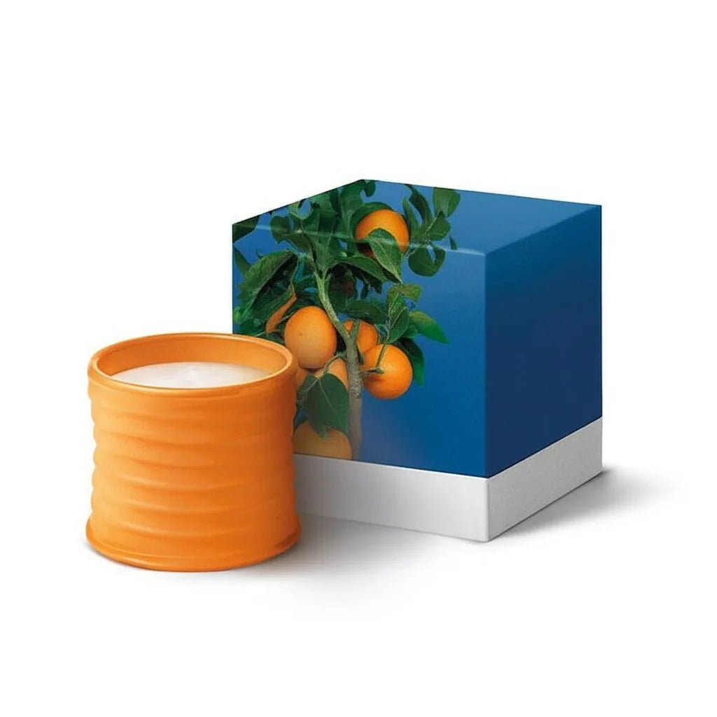 Scented Candles Honeysuckle Tomato Gift Box Home Fragrance Valentine's Day Birthday Gift
